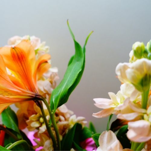 mark parham podcast
linktr.ee/markparham