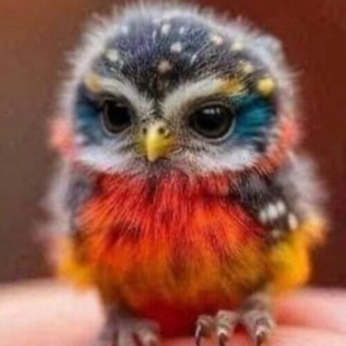 🇺🇸 MAKE AMERICA GREAT AGAIN 🇺🇸🍊
#PEOPLEOFCOMMONSCENSE "Blessed is the Nation who's God is the Lord!"