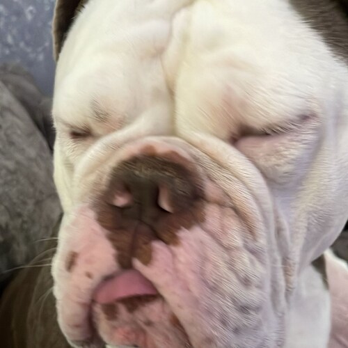 when is the world going to wake up..so much properganda everywhere.. I pray that you all find your own truth 🙏 jesus  i...