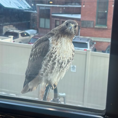 Honor Christ and see the blessings.The 2nd Amendment protects the first . Bring back comedy,unvaccinated patriot. 
Stay ...