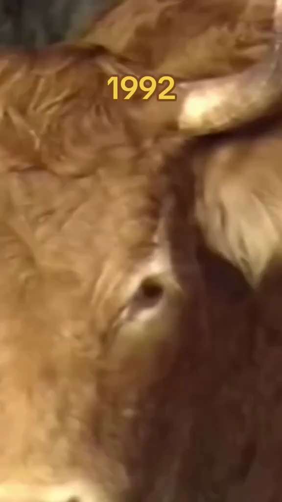 Madame la ministre, vous êtes une menteuse !!

Non l'abattage des cheptels n'est pas la seule soluti...