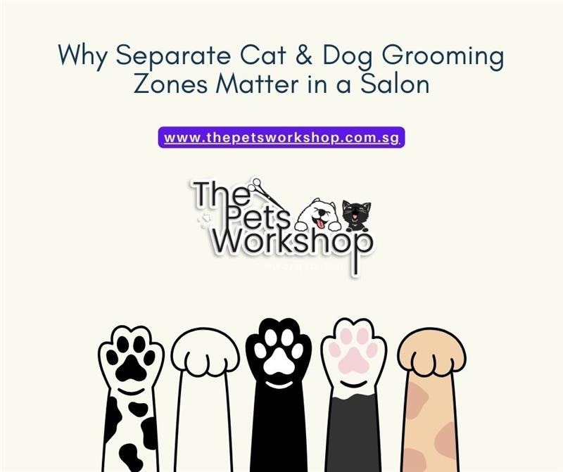 Why Separate Cat & Dog Grooming Zones Matter in a Salon- The Pets Workshop
The modern pet grooming S...