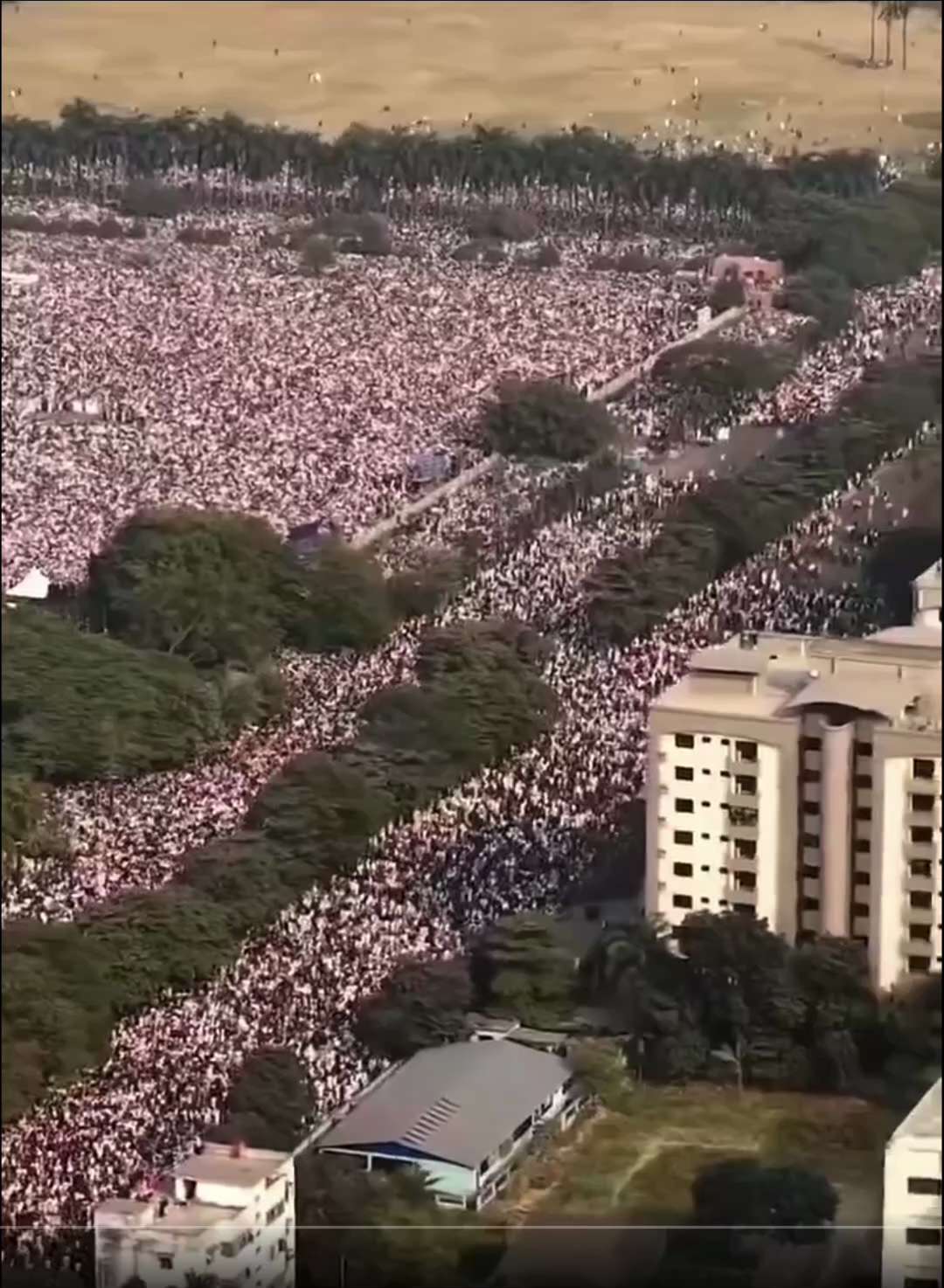 推翻孟加拉国哈西娜腐败政权的青年领袖、准备竞选国会议员的政治活动家谢里夫·奥斯曼·哈迪在达卡的一次袭击中被枪击去世，年仅31岁。数万民众参加了他的葬礼，场面震撼！

#孟加拉国 #三票先生 
