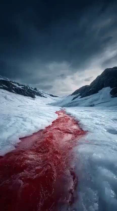地质奇观 南极洲的血瀑布（Blood Falls）是位于泰勒冰川（Taylor Glacier）上的一道奇特景观，看起来像鲜血从冰川裂缝中流出，染红了冰面。

血瀑布的红色并非真正的血液，而是富含铁的...
