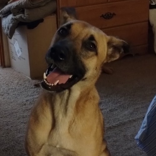 Visit mohx55's profile on GETTR. View their posts, photos, videos, and connect with them on the social platform.