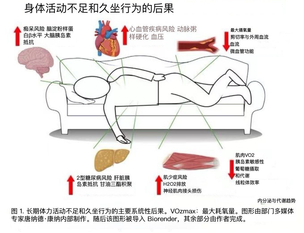 你忽略的无声杀手：缺乏运动

缺乏运动不仅仅会导致体重增加。数十年的研究证实，它是导致慢性疾病的最大隐性因素之一。

以下是科学研究的结果👇

1. 缺乏运动是全球第四大死因。
它与吸烟和不良饮食习...