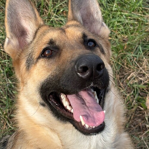 🕊️❤️🤍💙Love God Family and my country. ❤️🤍💙🕊️