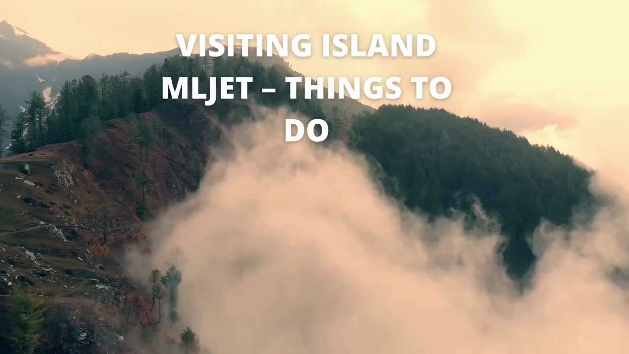 Convenient Pomena to Mljet Car Rental Services

Our Pomena to Mljet car rental services provide a re...