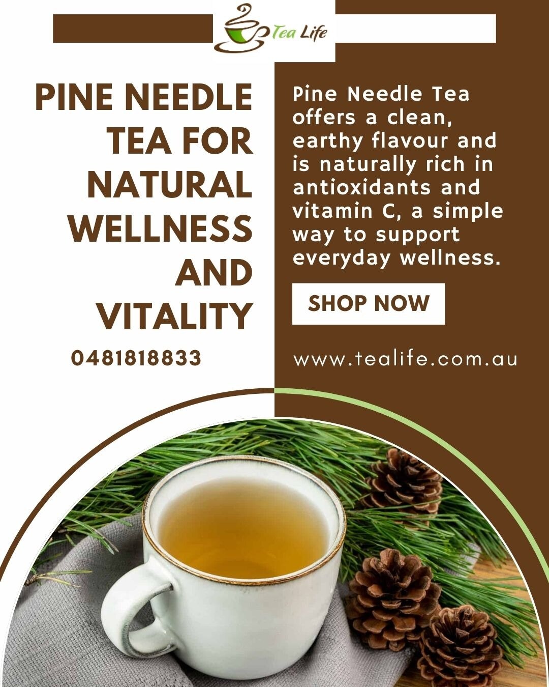 Pine Needle Tea for Natural Wellness and Vitality - Tea Life

Pine Needle Tea offers a clean, earthy...