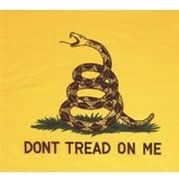 WE  MUST CONTINUE to remove RINO's & Dems from R Republic till they are inconsequential. BAN the Use of machines 4 hones...