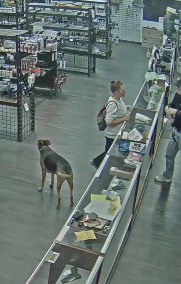 GUESS SHE DIDN’T WANT TO BUY IT
