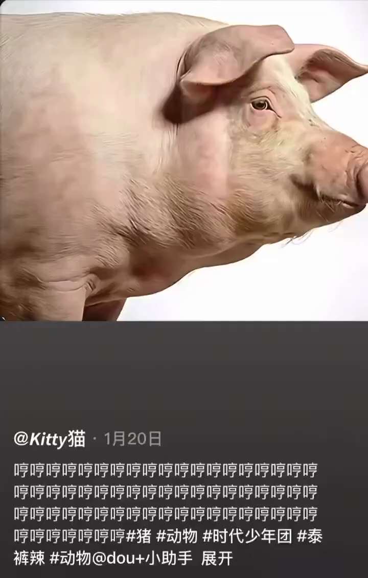 🔥墙内消息：国内出现的动物叫声视频，到底是什么意思呢？

视频1️⃣：猪 🐷 哼哼哼
视频2️⃣：海豹🦭 嗷嗷嗷
视频3️⃣：奶牛🐄 哞哞哞
