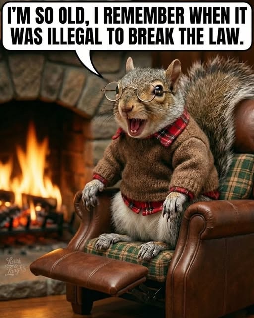 When they say ICE is arresting illegals who did nothing wrong…