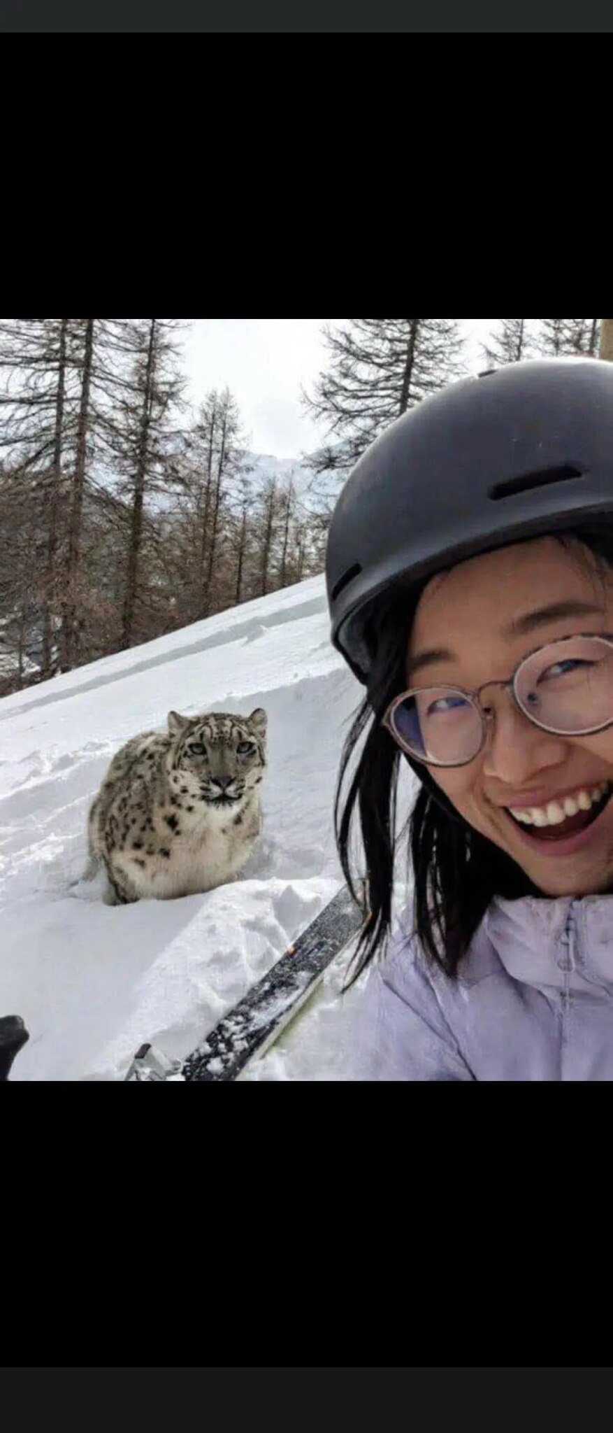 雪豹好可愛
它是大貓咪可以摸摸
然後小仙女就被咬了， 活该