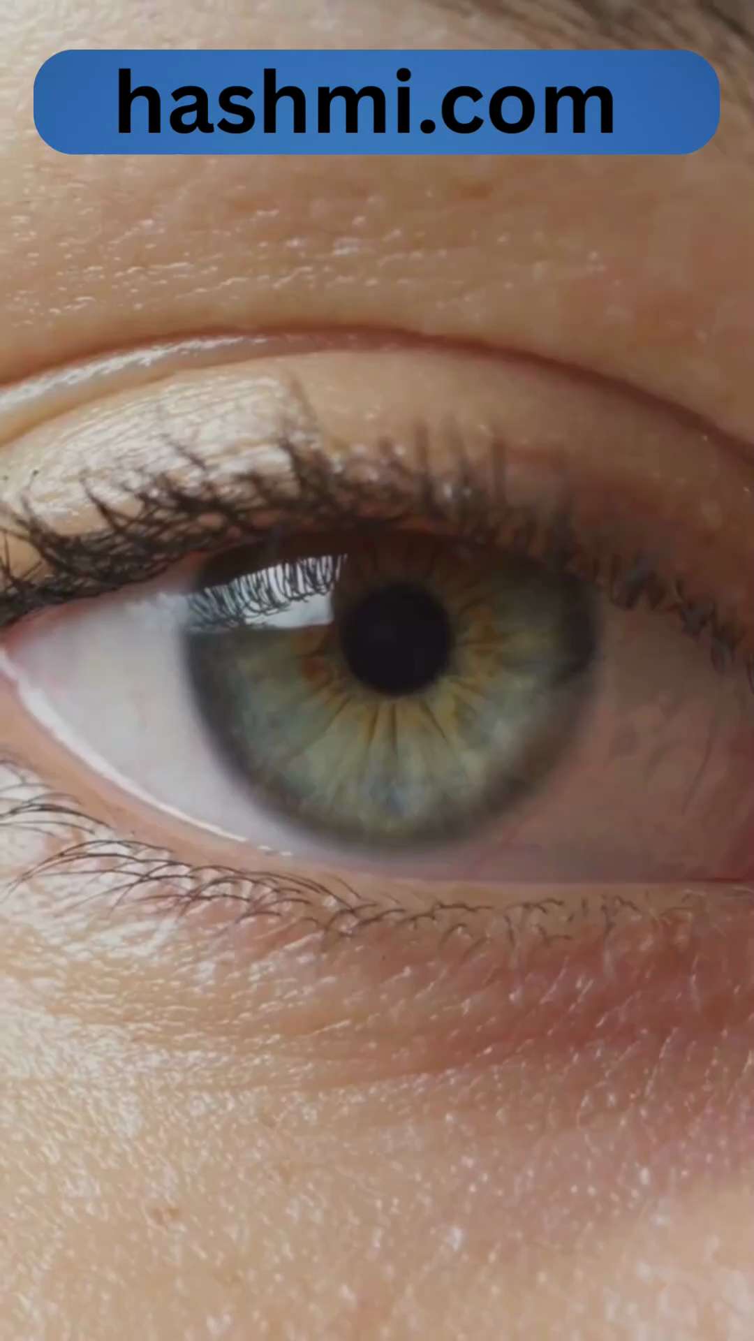 Bhuntey khaney key faydey
https://youtube.com/shorts/kApz34nAQ6M?si=kVbXhsWXhRmM9mF2
