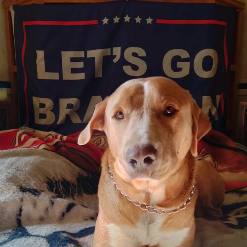 But hey! We will accept it right back.