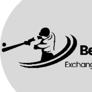 Betting Exchange Ids, a platform that dives into the world of fast, secure, and thrilling online betting.