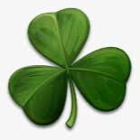 B.HSc, Naturopath, Master Herbalist; Faculty of Pharmacy, Sydney University. Chief Scientific Officer: TotemPoleDispensa...