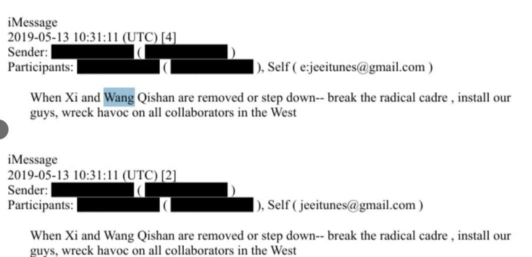还真开始联系上了，王岐山，吴征，杨澜，都慢慢开始出场了。这Epstein应该也是双修教的吧，双修教祖师爷那可是王岐山，Epstein见面估计要下跪的。
