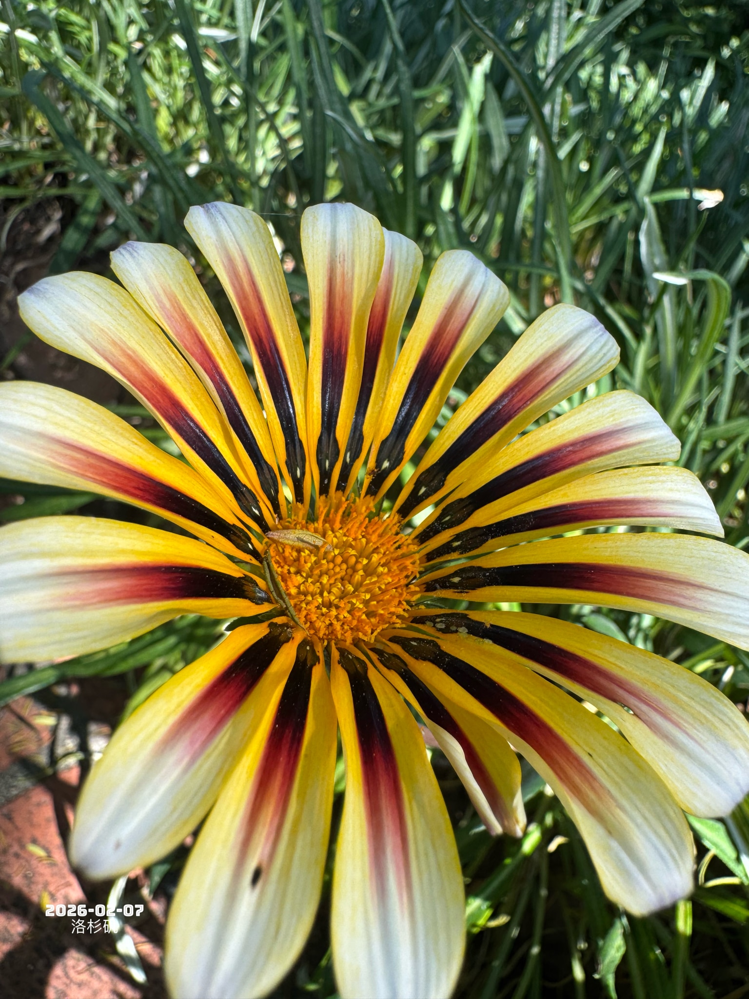 今天我突然发现，很多事情现在都变得特别顺。顺到你几乎不用动脑子。点几下，确认一下，事情就往前走了。系统会提醒你下一步，出错了也会帮你兜着。基本不用担心搞砸。从结果看，这当然是好事。省时间、省精力、省情...