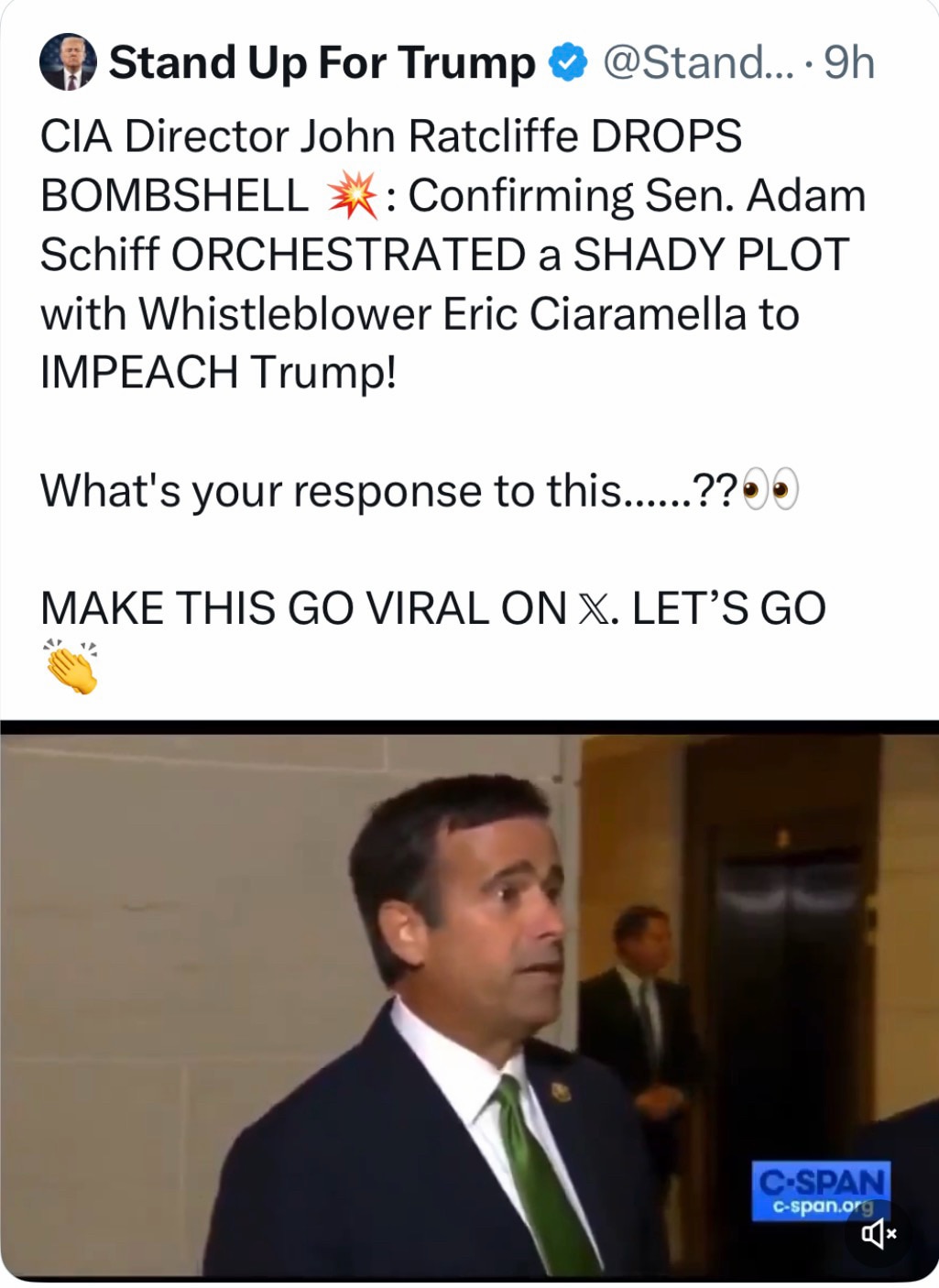 This is exactly the same play they are running on Tulsi.The evil twin Vindman brothers make up a con...