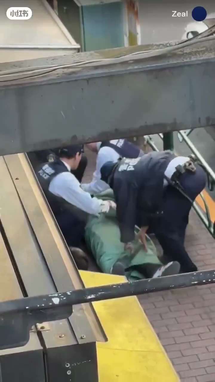 Can You Imagine if we did this here? Japan just went full sweep: illegal immigrants are being tracke...