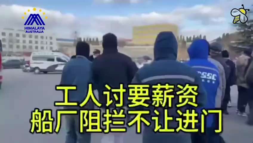 編號：1️⃣4️⃣8️⃣
【中共乱象】2月12日，山东威海，芜湖船厂不但三个月不发工资，还找来警察暴力驱逐讨薪工人，抓走多人。
🔗himalayaustralia.com.au
#中共亂象 
#TD...