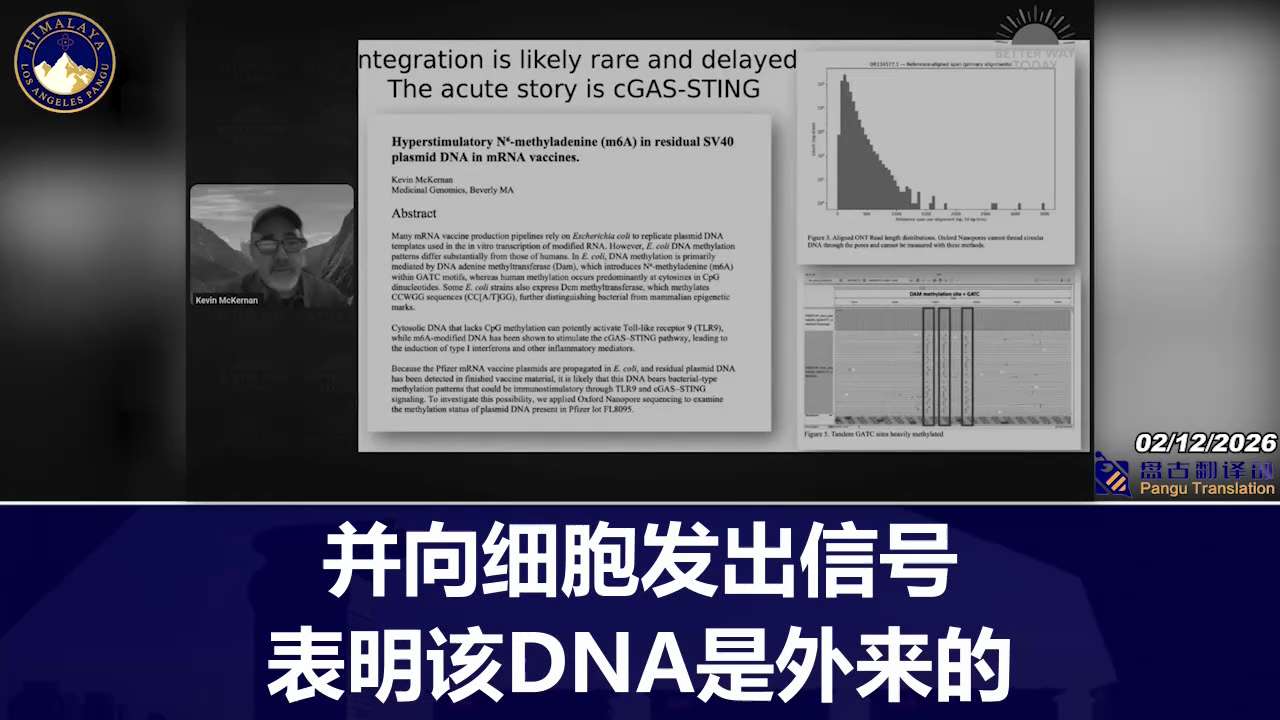 NFSC 聯盟譯統任務9️⃣3️⃣2️⃣
盤古🏔️農場

基因组学专家Kevin_McKernan提供的证据表明，监管机构忽视了COVID病毒“疫苗”中残留的DNA污染。
他的分析揭露了导致危险基因...