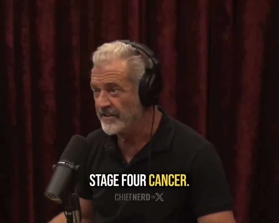 梅尔·吉布森：“我有三个朋友。他们三个都曾患过四期癌症。现在他们三个都完全康复了。”

乔·罗根：“他们服用了什么药？”

梅尔·吉布森：“伊维菌素和芬苯达唑。”