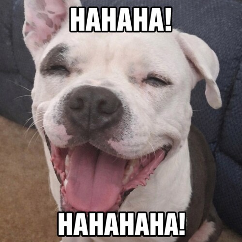 Cub Scout-Boy Scout-19D Cavalry Scout/God Bless America 🇺🇸 🙏 🇺🇸