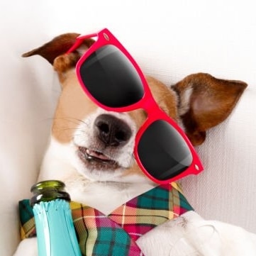 Un mec normal mais Gaulois Réfractaire