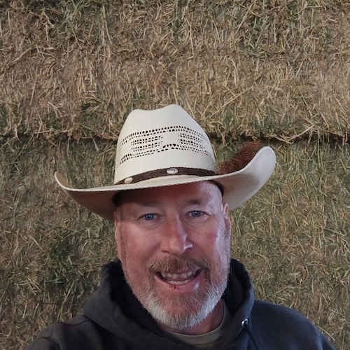 Damn the virus, full speed ahead!