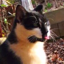 Rhymer of words, dreamer of dreams, completely aware nothing is as it seems.  Gold Star daughter.  Unreconstructed Rebel...