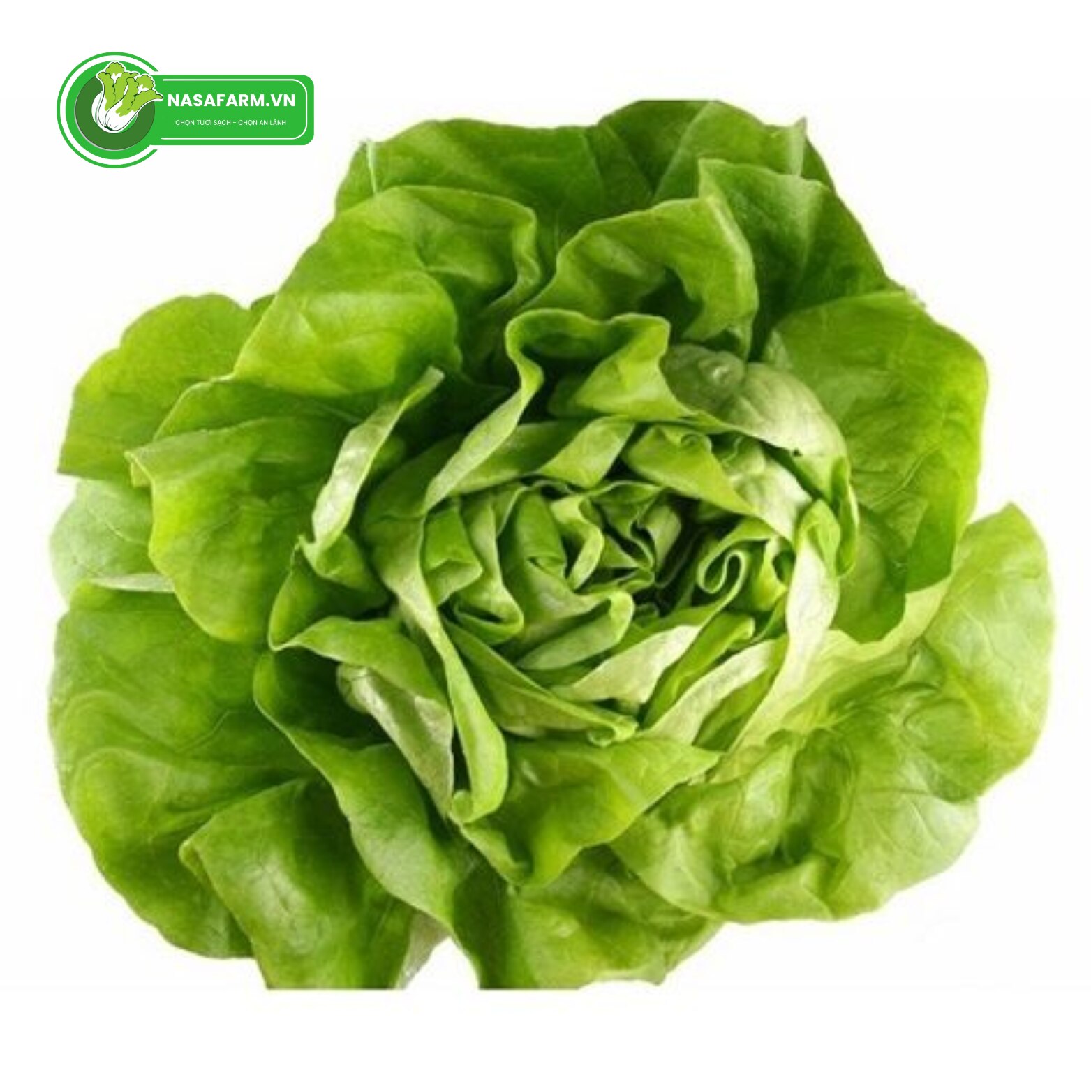 Đến với Nasafarm, khách hàng không chỉ được tiếp cận nguồn rau củ quả hữu cơ tươi ngon, nhập trực ti...