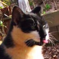 Rhymer of words, dreamer of dreams, completely aware nothing is as it seems.  Gold Star daughter.  Unreconstructed Rebel...