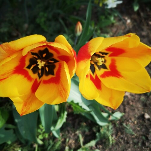 Visit Tjm72's profile on GETTR. View their posts, photos, videos, and connect with them on the social platform.