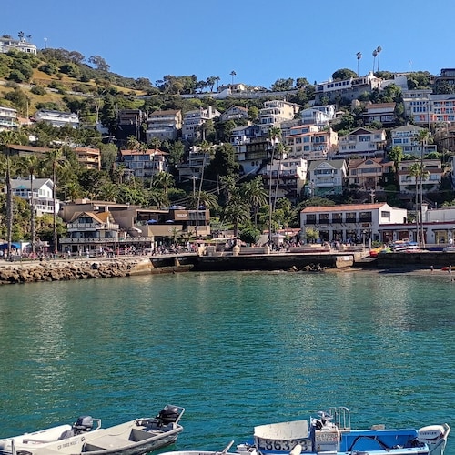 GOD, Wife, Ringo, Dani, 
Be thankful for everything... Even the bad times.