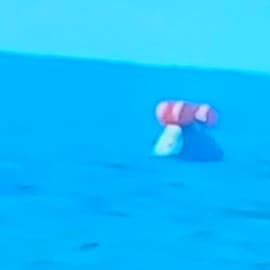 A Southern Gentleman who loves God, faith, family & freedom; 2 Nephi 31:13 (TBOM), 1 Peter 3:10-12 (NKJVOTHB) & James 3:...