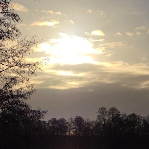 Visit Meinung's profile on GETTR. View their posts, photos, videos, and connect with them on the social platform.