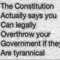 WE  MUST CONTINUE to remove RINO's & Dems from R Republic till they are inconsequential. BAN the Use of machines 4 hones...