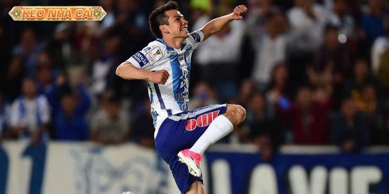 Hirving Lozano: Quái kiệt “Chucky” vươn tới đỉnh cao châu Âu



Hirving Lozano hiện là biểu tượng tấ...