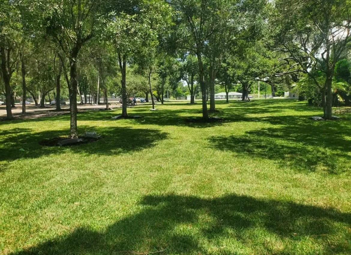 Instant Lawns From Local Tampa Sod Farm Experts

We provide farm-direct sod solutions, growing premi...