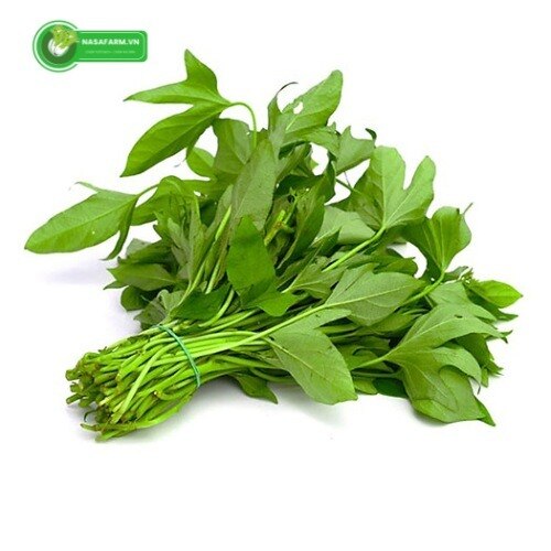 Với nhu cầu sử dụng thực phẩm an toàn ngày càng tăng, đọt rau lang hữu cơ được xem là lựa chọn phù h...