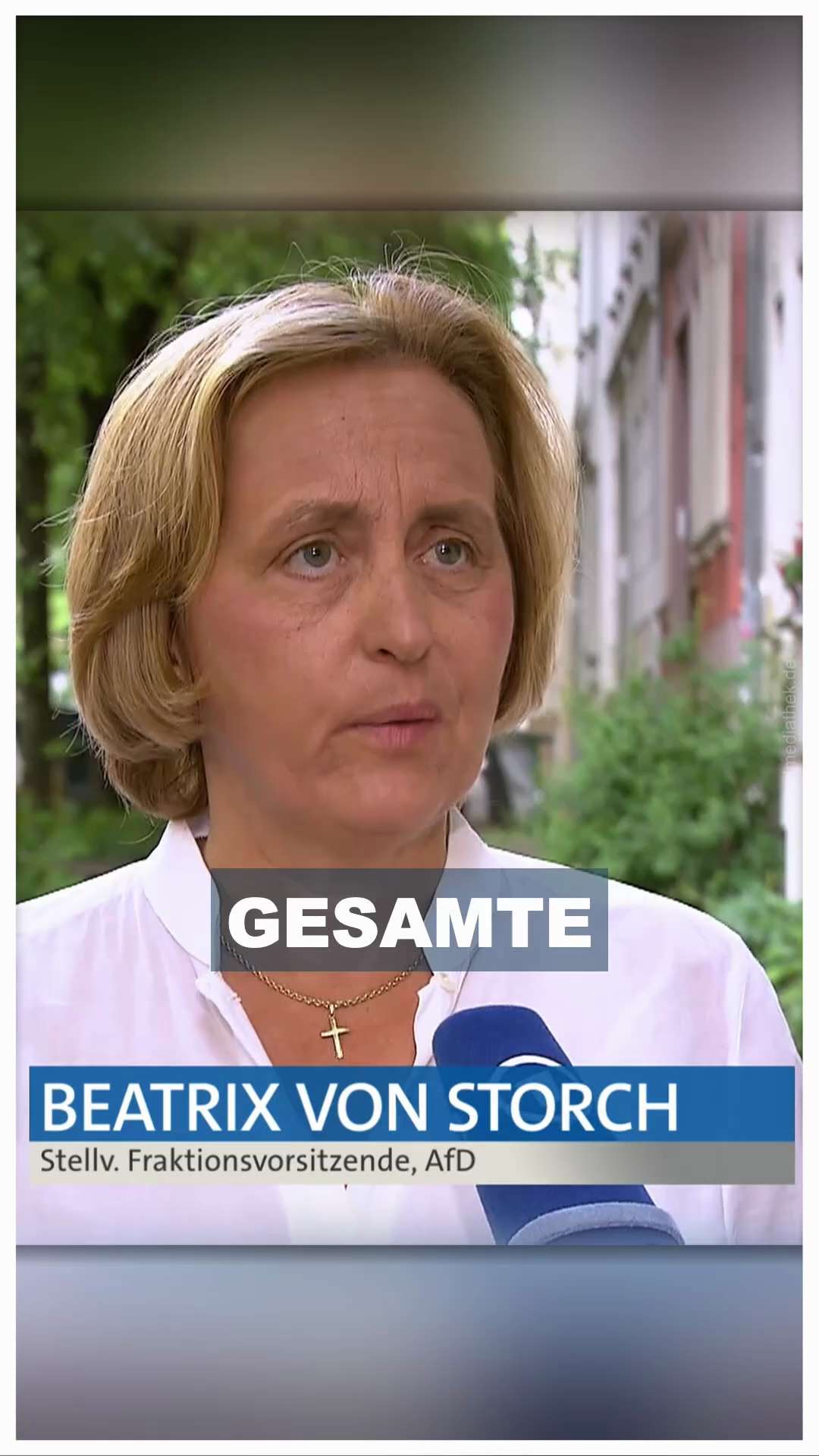Gestern im Bericht aus Berlin- aufgenommen 2 Tage bevor auch nicht im entferntesten von einer Gegenk...