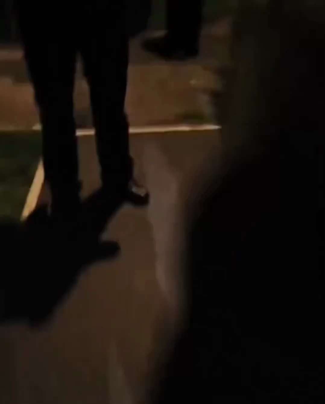 End Wokeness:
7 UK officers dragged an autistic girl from her home and arrested her for calling an o...
