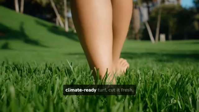 Instant Green Lawns From Local Sod Farm Specialists

Our sod farm business provides fresh grass dire...