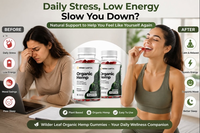 Wilder Leaf Organic Hemp Canada

❗❗❤️Shop Now❤️❗❗

https://www.facebook.com/WilderLeafOrganicHempCan...