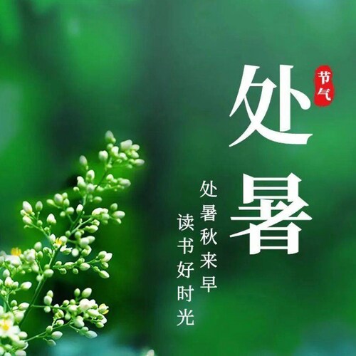 We Are the Citizens of the New Federal State of China

Our Mission is to Take Down the EVIL Chinese Communist Party
