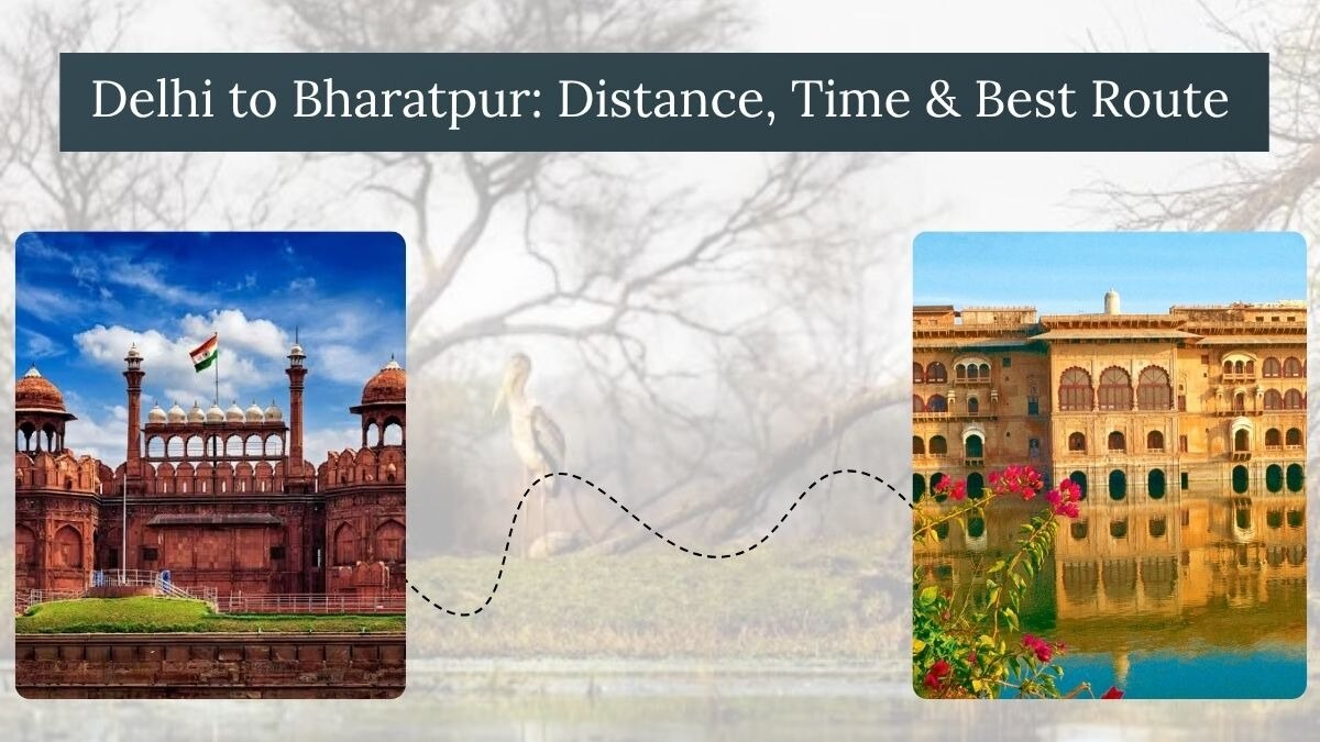 Delhi to Bharatpur: Distance, Time & Best Route

Thinking about a trip to Keoladeo National Park? He...