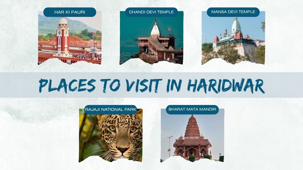 5 Places to Visit in Haridwar with Group

Haridwar is the holiest city in India. It is a perfect pla...